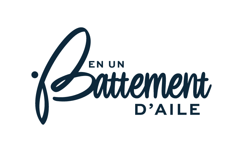 en un battement d'aile