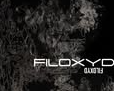 Logo de Fioxyd