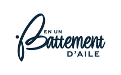 en un battement d'aile